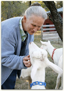 Goat in the Grass