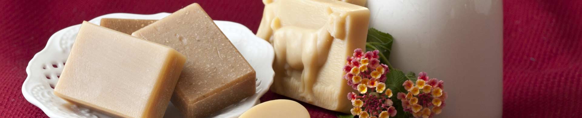 Dairy Meadow Soaps Bars